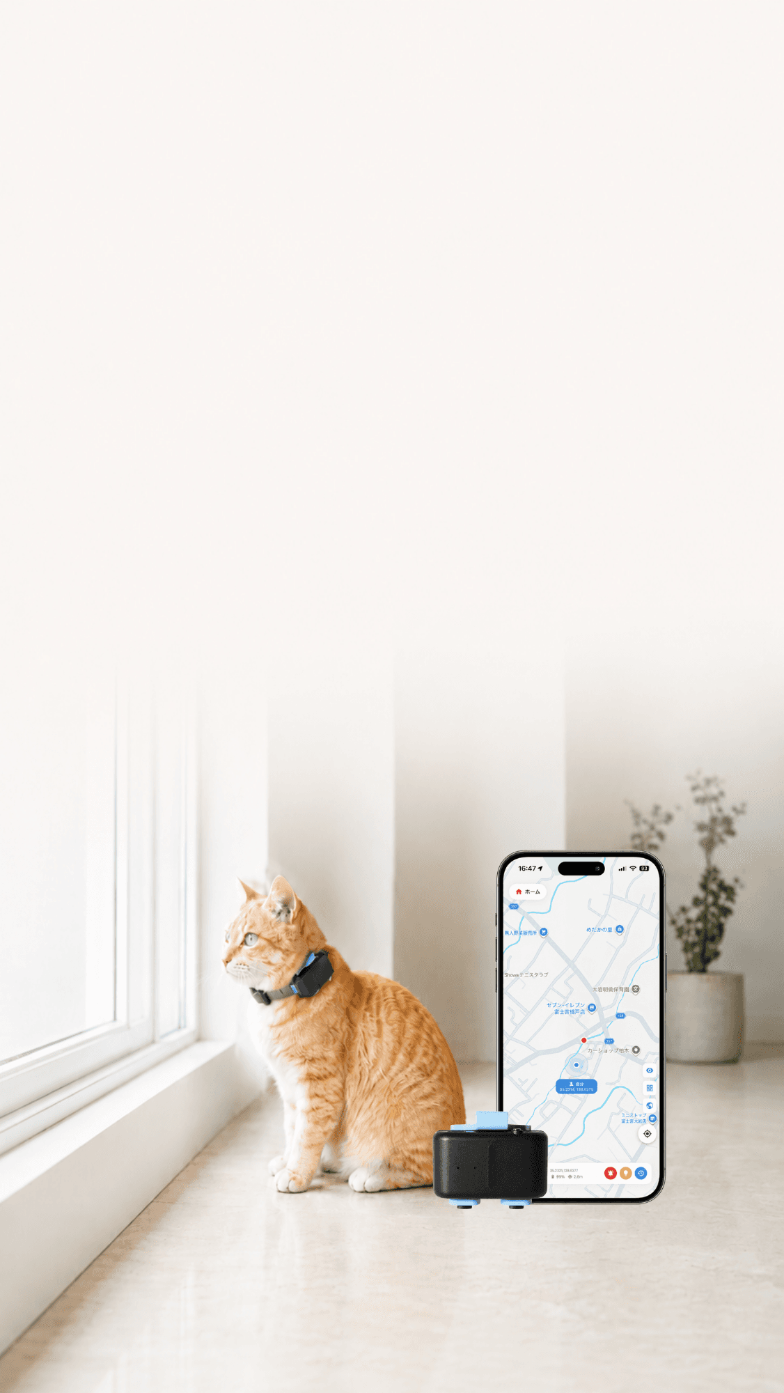 GPSデバイスを装着した猫とスマホアプリ