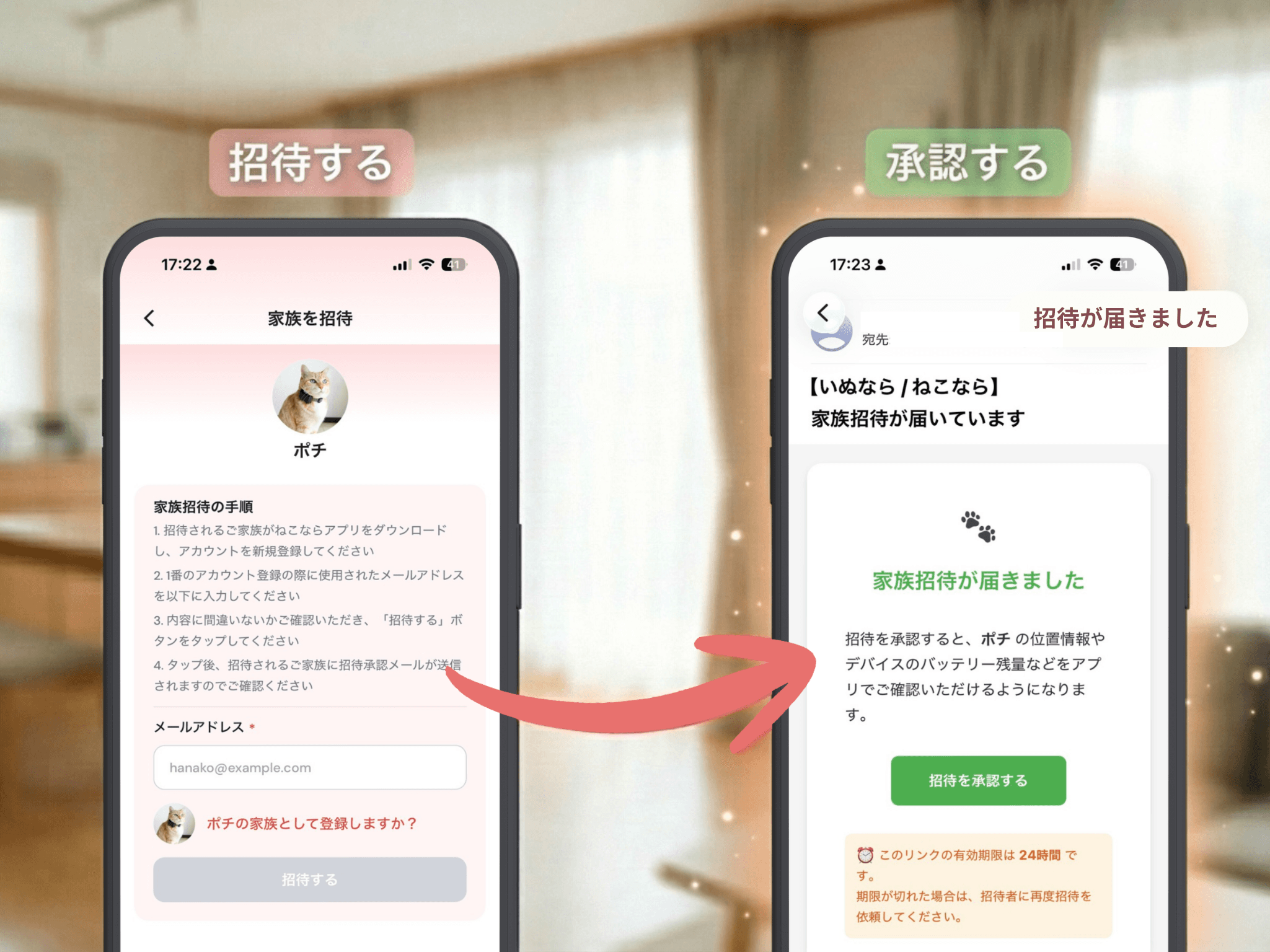 家族共有