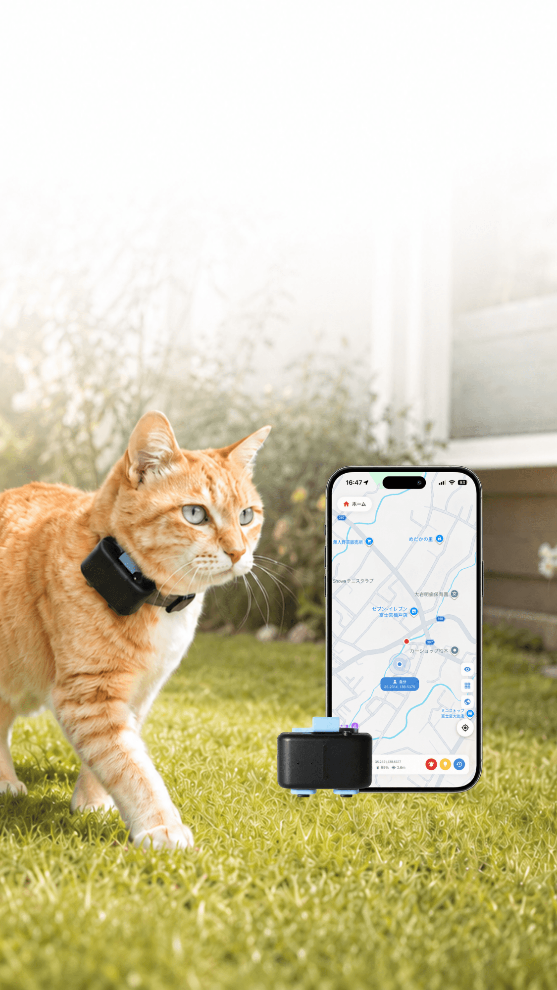 GPSデバイスを装着した猫とスマホアプリ